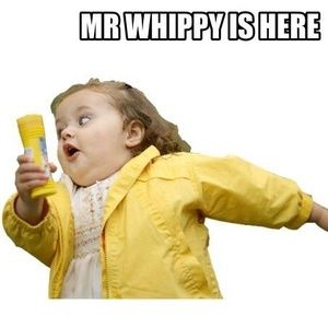 Meet your Posher, Belinda